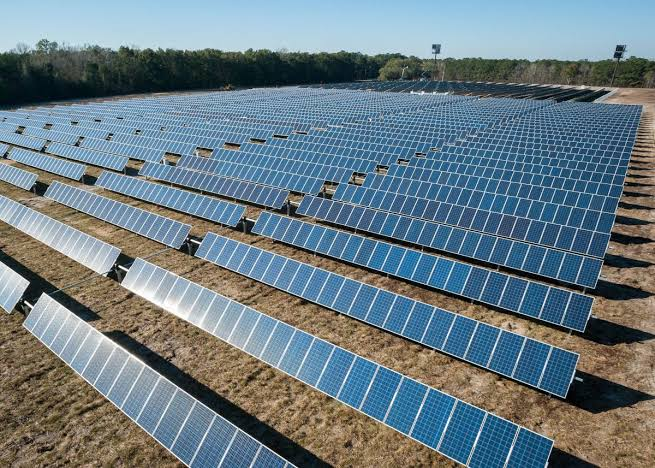 Are Solar Farms Actually Profitable? How Much Money Can a Solar Farm Make