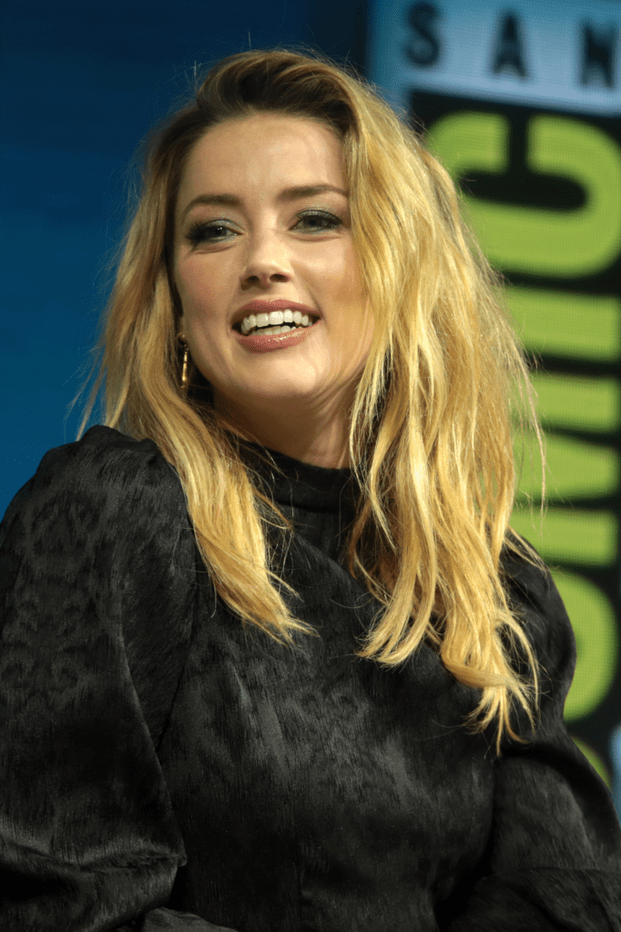 Amber Heard Networth