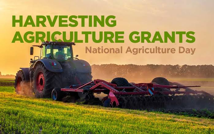 International Agricultural grants for 2024